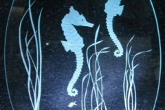 two-seahorses